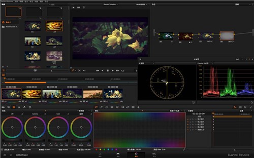 DaVinci Resolve v17.2.1 免费版