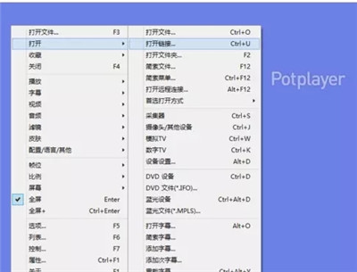 Daum PotPlayer v1.7.21515 最新版