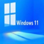 <strong>windows11企业版 v11.0 最新版本</strong>