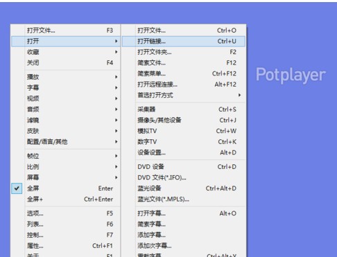 daum potplayer视频播放器v1.7.21494中文版