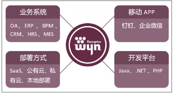 Wyn Enterprise(嵌入式商业智能和报表软件)v5.0.00283.0官方版